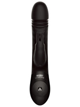 Load image into Gallery viewer, The Sonic Rabbit - Multiple Colours