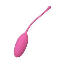 Load image into Gallery viewer, Kegel Exercise System

