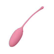 Load image into Gallery viewer, Kegel Exercise System
