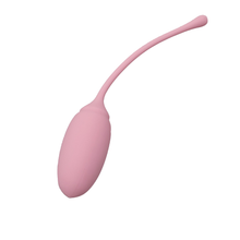 Load image into Gallery viewer, Kegel Exercise System
